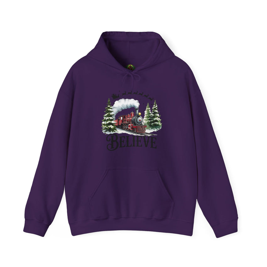 Believe Train Hooded Sweatshirt, Cozy Winter Sweatshirt