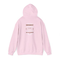 1776 & right to bear hoodie