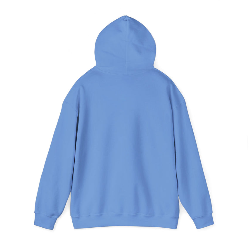 Believe Train Hooded Sweatshirt, Cozy Winter Sweatshirt