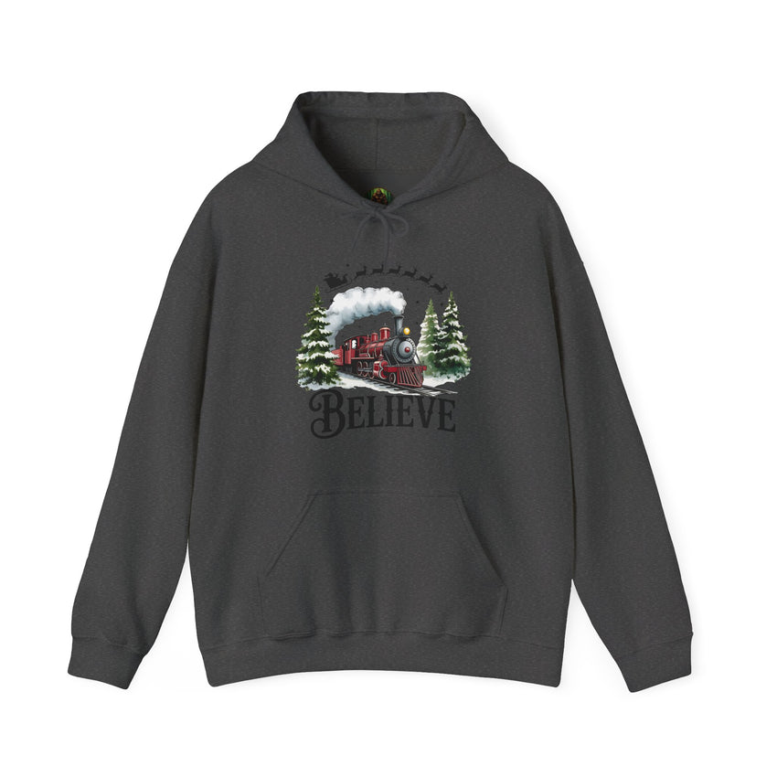 Believe Train Hooded Sweatshirt, Cozy Winter Sweatshirt