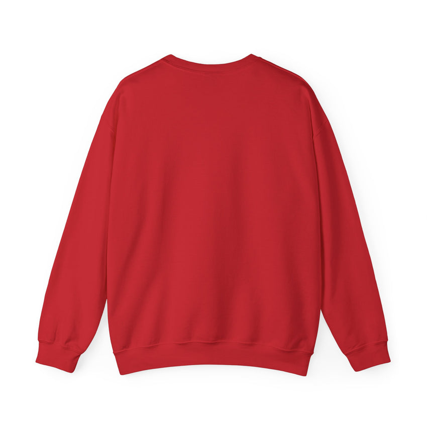 Believe in Santa train sweatshirt , Do you believe?