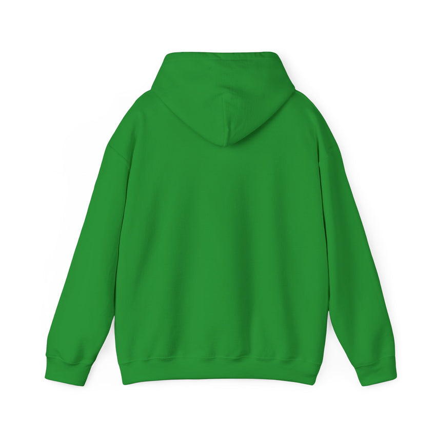 Believe Train Hooded Sweatshirt, Cozy Winter Sweatshirt