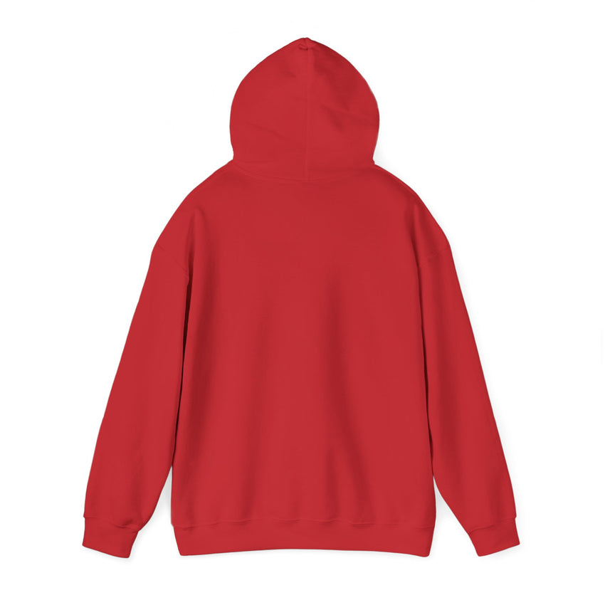 Believe Train Hooded Sweatshirt, Cozy Winter Sweatshirt