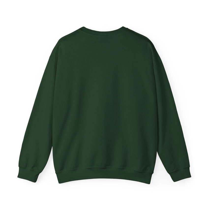 Believe in Santa train sweatshirt , Do you believe?