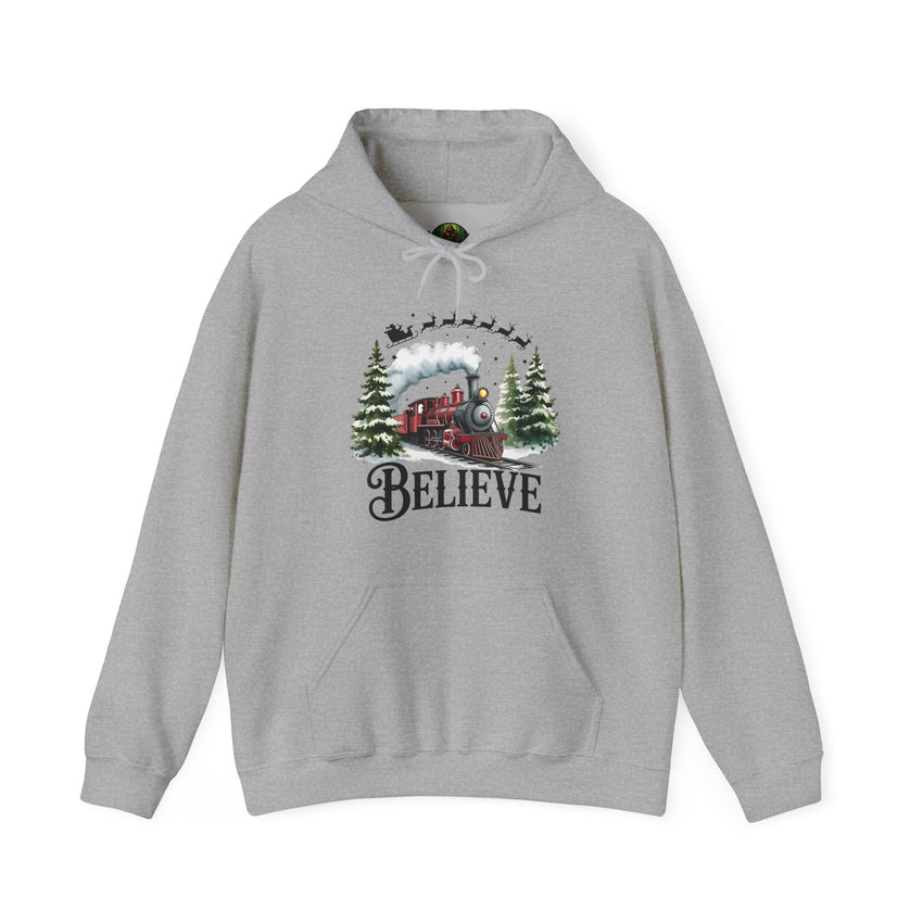 Believe Train Hooded Sweatshirt, Cozy Winter Sweatshirt