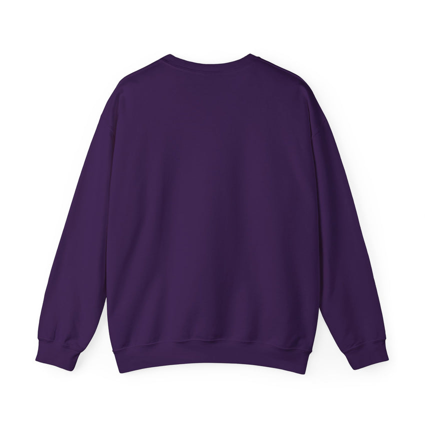 Believe in Santa train sweatshirt , Do you believe?