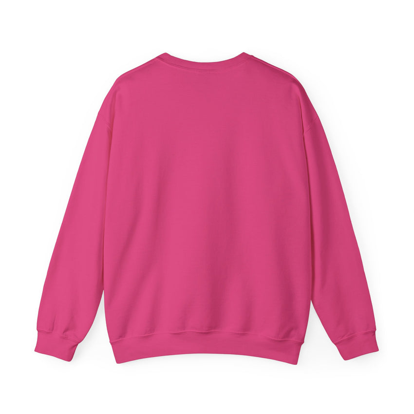 Believe in Santa train sweatshirt , Do you believe?