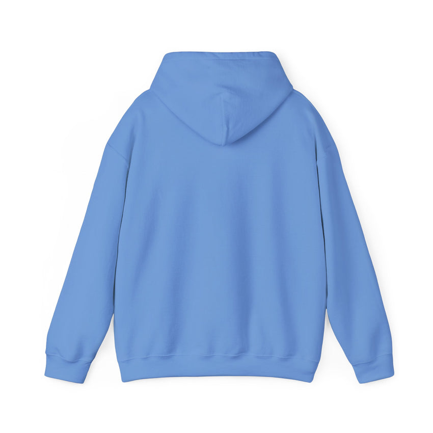 Believe Train Hooded Sweatshirt, Cozy Winter Sweatshirt