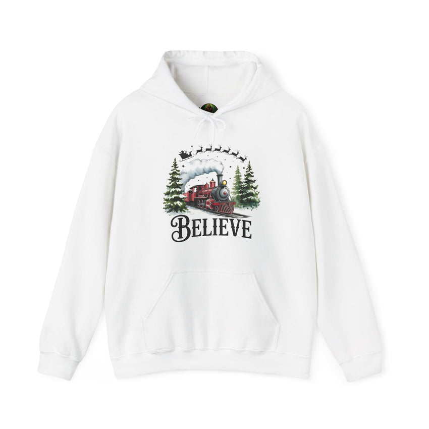 Believe Train Hooded Sweatshirt, Cozy Winter Sweatshirt